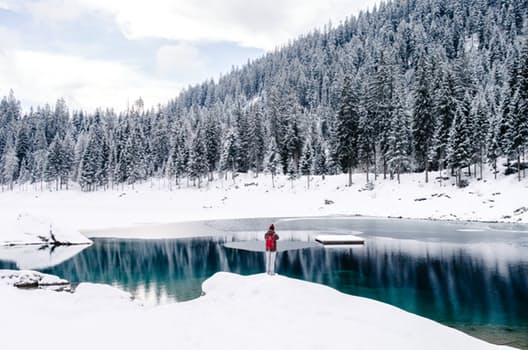 Your Best Ever Strategy to Stay Calm During Winter Stillness